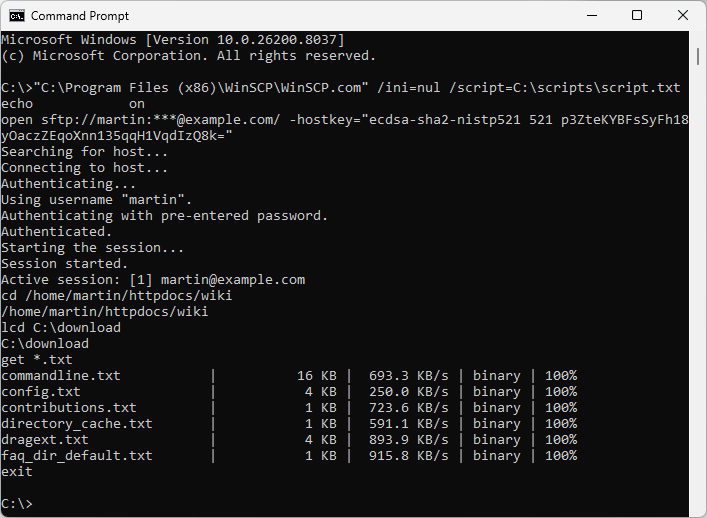 Scripting and Task Automation :: WinSCP